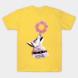 A dog holding a daisy on its nose T-Shirt